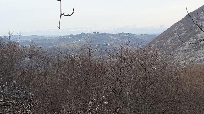 eika image